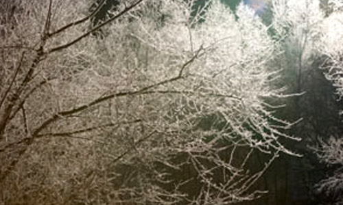 樹氷写真
